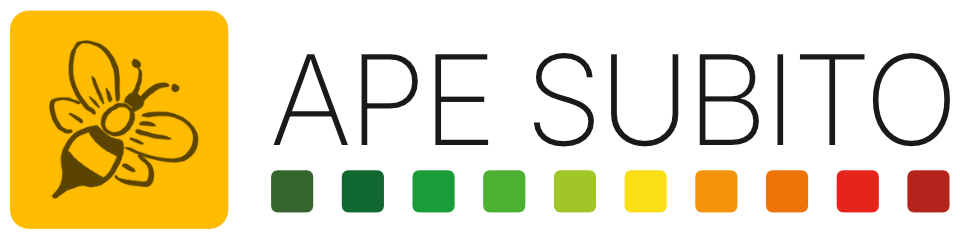 APE Subito